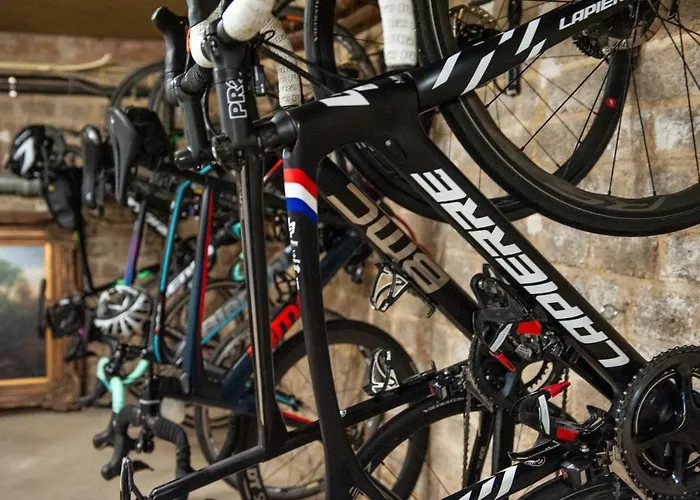 Brakke Berg فندق بيرغ إين تيربيلييت